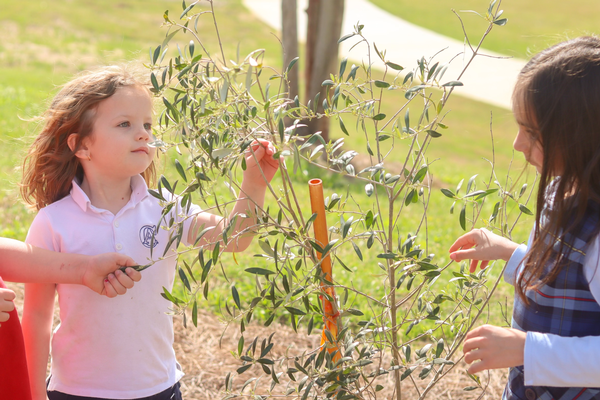 Students in the garden