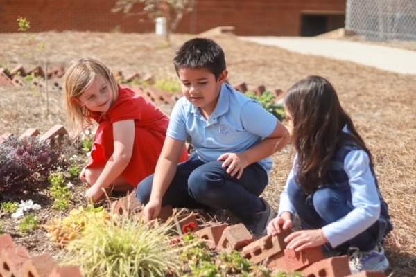 Students in the garden